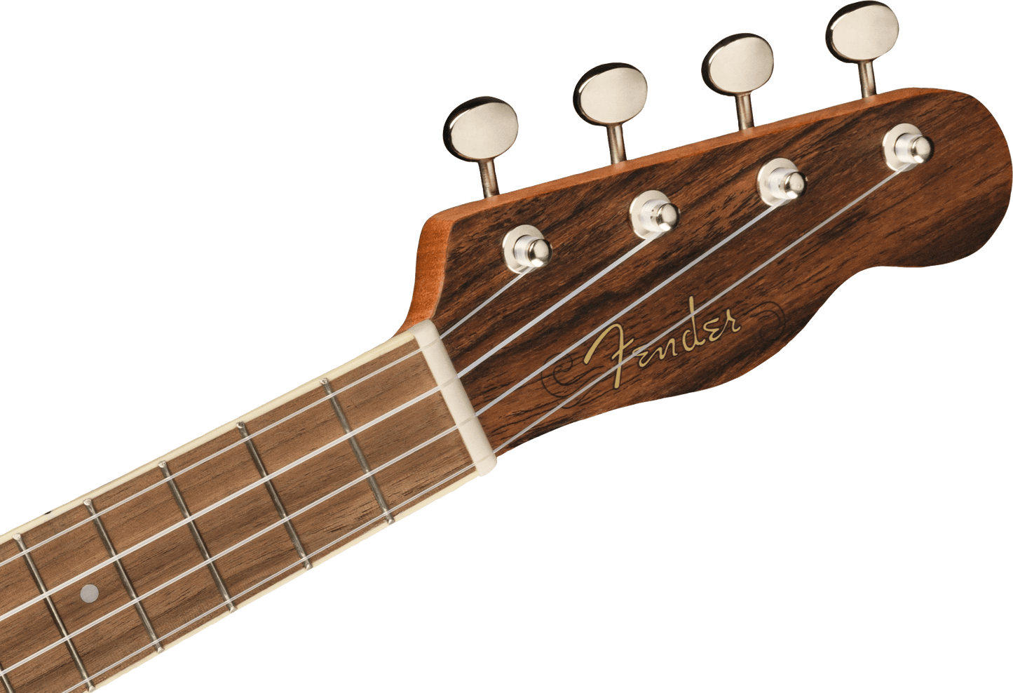 Zuma Exotic Concert Ukulele