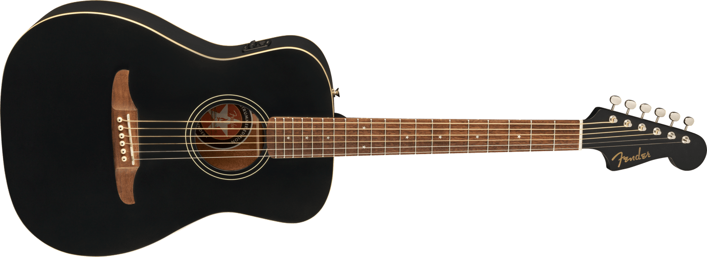 Joe Strummer Campfire Acoustic